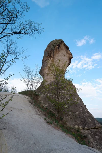 古代の城の遺跡を眺め — ストック写真