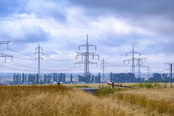 有输电线的麦田 斯洛伐克夏季乡村景观 — 图库照片