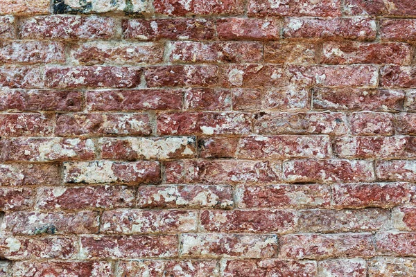 Oude Bakstenen Muur Van Grunge Venetië Achtergrond — Stockfoto