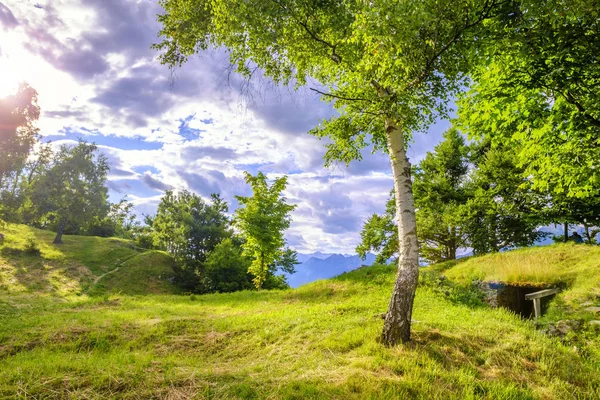 Sluneční Louka Horách Kolovrat Socha Údolí Slovinsko — Stock fotografie