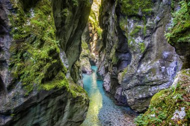 Kayalar derin kanyon Triglav Ulusal Park, Slovenya arasında kristal berraklığında zümrüt dağ nehir akar.