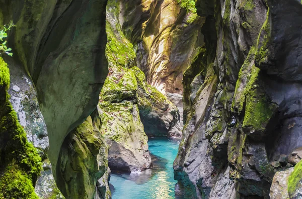 Emerald Water Rocks Covered Moss Lit Sun Tolminska Korita Tolmin — Stock Photo, Image