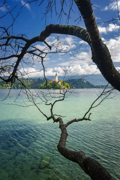 Kreativa Med Till Kyrkan Och Slottet Vid Bledsjön Slovenien Med — Stockfoto