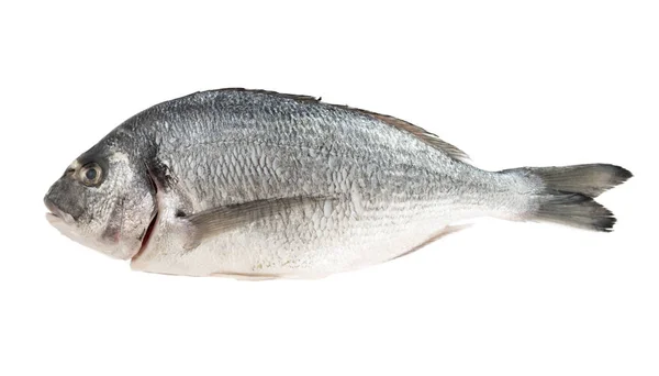 Dorado Φρέσκο Ψάρι Ολόκληρο Απομονώνονται Λευκό Φόντο — Φωτογραφία Αρχείου