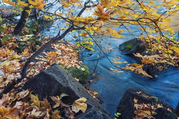 Kleurrijke Herfst Tafereel Met Gele Herfst Bladeren Blauwe Water Van — Stockfoto