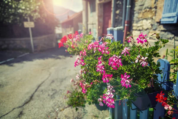 プロヴァンス フランスの小さな旧市街の通りの花 鮮やかな夏のシーン — ストック写真