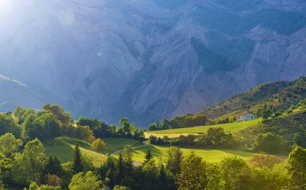 Panorama Alpino Soleggiato Con Verdi Colline Alte Montagne Provence Francia — Foto Stock