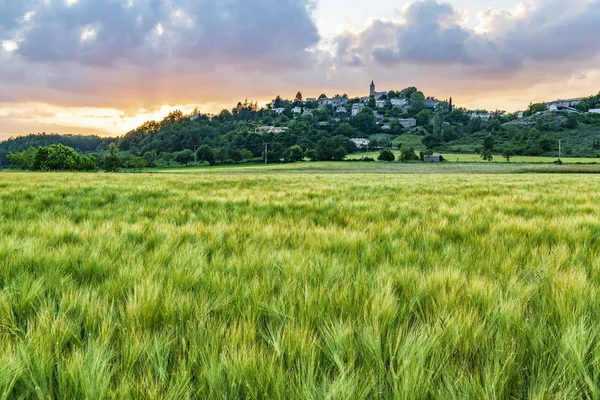 Cena Pôr Sol Beatiful Com Campo Trigo Cidade Velha Com — Fotografia de Stock