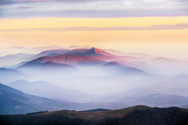 Atemberaubender Morgendlicher Bergblick Blauer Und Pinkfarbener Tonalität Sonnenaufgang Den Karpaten — Stockfoto