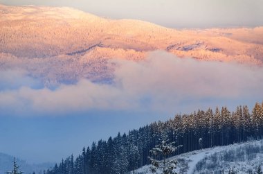 Güzel pembe günbatımı yüksek kış dağlarda. Karpat Dağları, Ukrayna