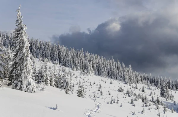 Удивительный Зимний Пейзаж Горах — стоковое фото