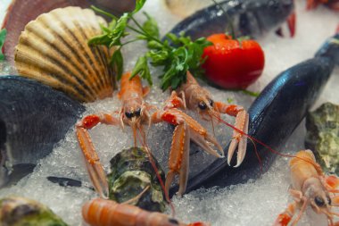 Buz deniz ürünleri. Karides, balık, midye, istiridye. Karides üzerinde odaklanmak.