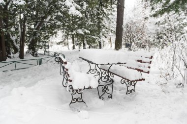 Park bankında ve kar ile kaplı tablo. İlk kar yağışı
