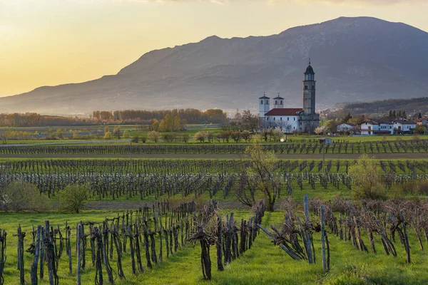 Wiejski Krajobraz Winnic Kościół Wczesną Wiosną Piękny Wieczór Alpejski Krajobraz — Zdjęcie stockowe