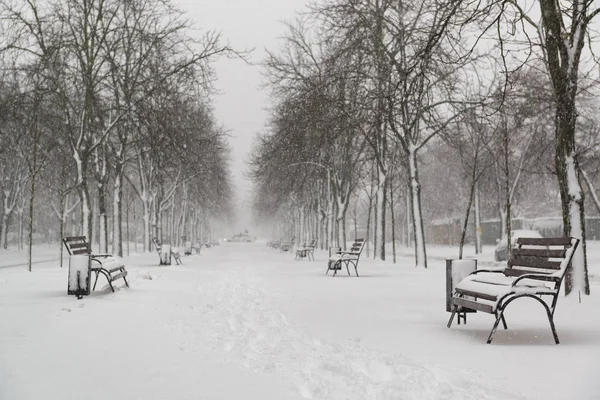 Park Mit Bänken Bei Schneefall Der Winter Kommt — Stockfoto
