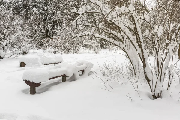 Beautiful Winter Park Bench Trees Benches Road Covered Snow — Stock Photo, Image