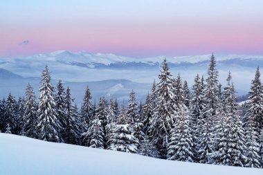 Güzel Karpat Dağları akşamları