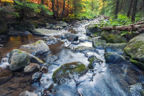 Wunderschöner Wasserlauf Tief Wald Farbenfrohe Szene Wilder Unberührter Natur — Stockfoto