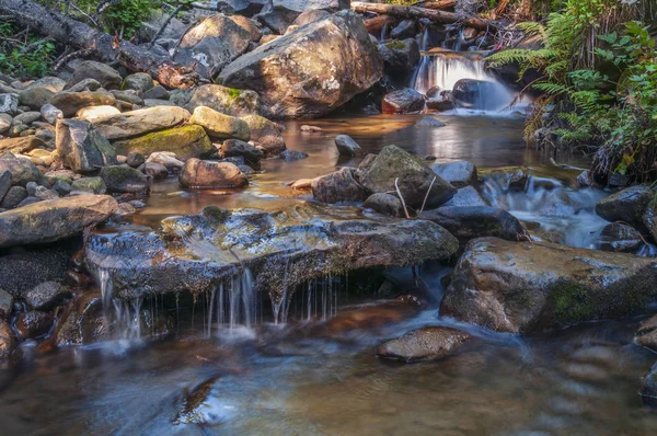 Klarer Gebirgsbach Tief Wald Karpaten Ukraine — Stockfoto