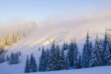 Güneş ve kış dağlarda yüksek sis. Şaşırtıcı sabah backcountry manzara