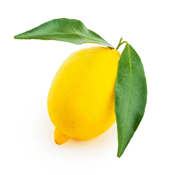 Whole Fresh Lemon Fruit Green Leaves Isolated White Background — Stock Photo, Image