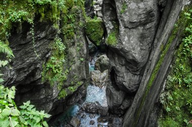 Tolmin Gorges Park ünlü ayı kafa taş. Zümrüt nehir kanyonun derinliklerinde. Slovenya, Europe