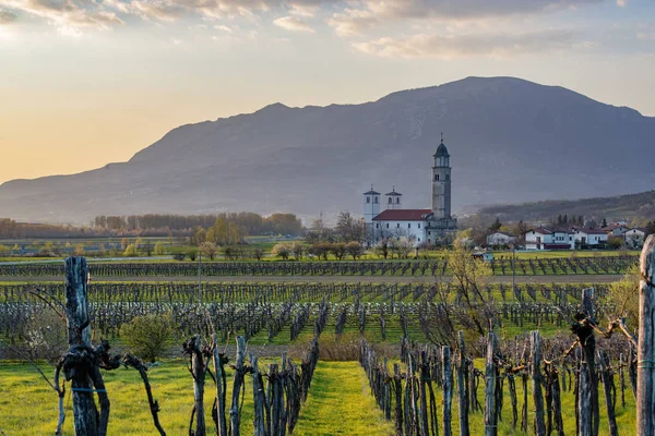 Bela Paisagem Rural Primavera Noite Vale Vipava Eslovênia Vinhedos Montanhas — Fotografia de Stock