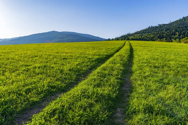 Longa estrada em linha reta em um campo gramado — Fotografia de Stock