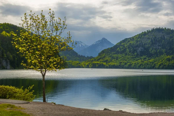 Bellissimo lago alpino — Foto Stock