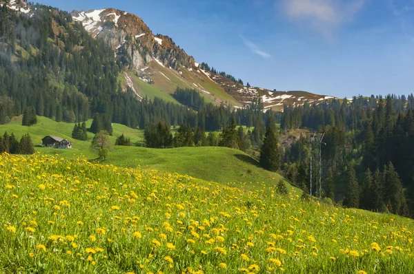 Boerderij in de Zwitserse Alpen — Stockfoto