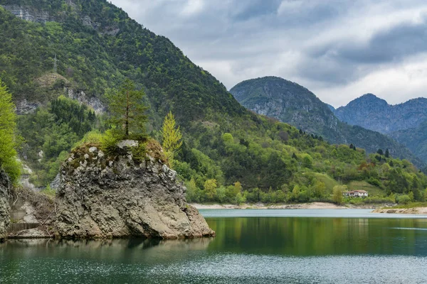 Montanha lago e rocha com um pinheiro . — Fotografia de Stock