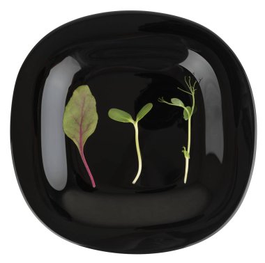 Minimalist microgreens