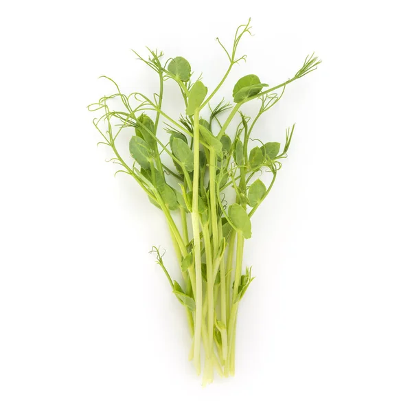 Monte Microgreens Frescos Atira Fundo Branco Comida Vegetariana Saudável Moda — Fotografia de Stock