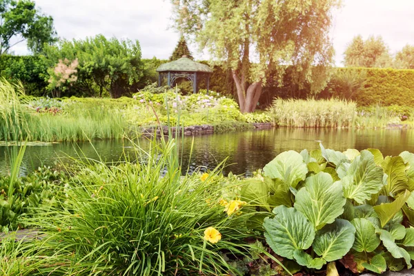 Parque de la ciudad con lago — Foto de Stock