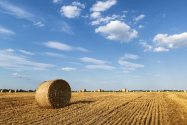 Hasat tan sonra güzel saman tarlası