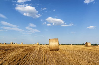 Saman balyaları ile bir alanda Akşam