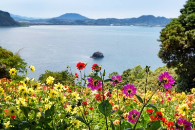Nokonoshima ada parkı güzel çiçekler, Japonya