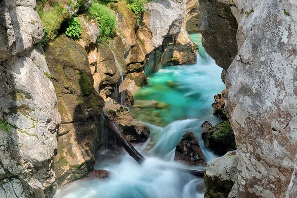 Pittoresco fiume di montagna con acqua cristallina — Foto Stock
