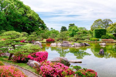 Bir Japon bahçesinde güzel göl