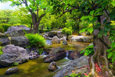 güzel Japon Bahçe 