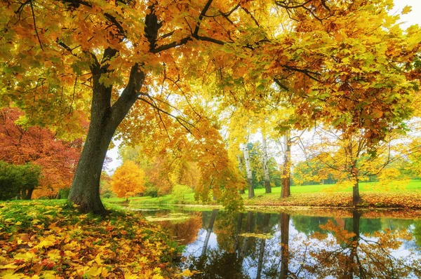 Hermoso otoño en el parque. — Foto de Stock
