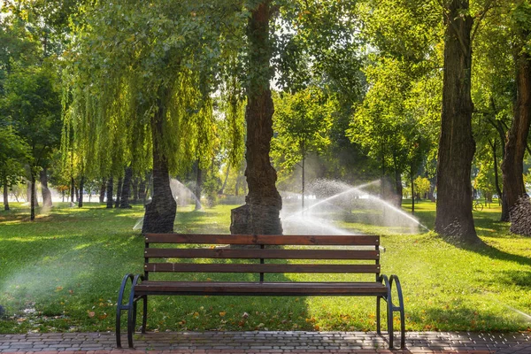 Holzbank im sonnigen Stadtpark. — Stockfoto