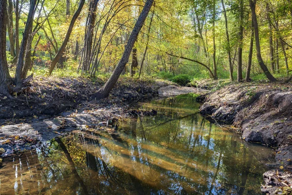 Μικρό ποτάμι στο ηλιόλουστο φθινόπωρο πάρκο. — Φωτογραφία Αρχείου