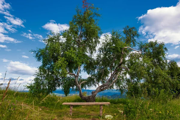 Empty Wooden Bench Mountain Top Amazing View Kolovrat Park Soca — Stock Photo, Image