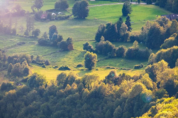 Zelené Večerní Louky Údolí Soca Slovinsku Krásná Příroda Slovinské Krajině — Stock fotografie