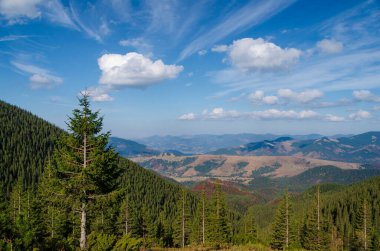 Karpatlar 'ın yüksek kesimlerinde inanılmaz bir manzara. Yaz tatilini geçirmek için güzel bir yer.