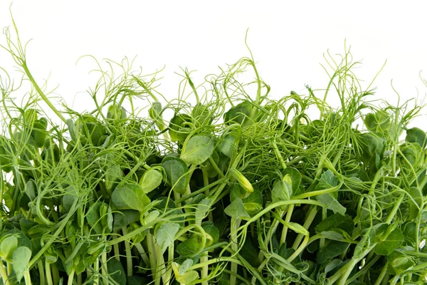Ervilha Fresca Brotos Microverdes Isolados Branco Alimentos Saudáveis — Fotografia de Stock