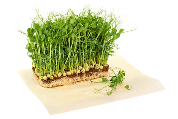 白に隔離されたクラフト紙に新鮮なエンドウ豆のマイクログリーンの芽 健康的な食事 — ストック写真
