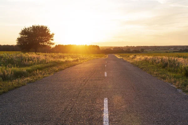 Beautiful country road. Straight asphalt road with sunset sun at the countryside