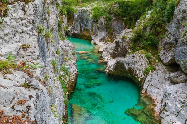 Kristallklares Smaragdgrünes Wasser Des Flusses Soca Slowenien Beliebtes Touristenziel — Stockfoto